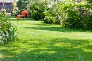 travaux jardin et paysage Bergholtz